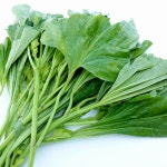 국내산 아욱 1kg 생아욱 손질 아욱 400g : 농부의발자국