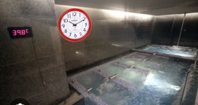 건전지드림!!방수시계  클럽하우스 락카  사우나  방습 사우나   벽걸이시계 벽시계 목욕탕 찜질방 BP342 : ANNE SHOP