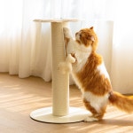 피도테일 고양이 플라워 페이퍼 로프 수직 기둥 스크래쳐 : 피도테일