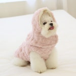 초코펫하우스 강아지패딩 하네스 강아지옷 산책왕 패딩 S : 초코펫하우스