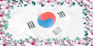 무궁화3 무대막 가로6m x 세로2.5m -[ 학예회, 재롱잔치, 발표회, 학습발표회, 연극, 뮤지컬, 공연, 동극 ] 배경, 무대배경, 무대막, 무대막 배경... 