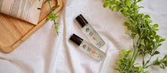 세이프 케어 Safe Care 리프레싱 아로마 오일 롤온 오일  10ml : 말레이시아 쇼핑