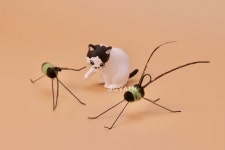 [고야미] 소금쟁이 고양이장난감 : 고야미 GOYAMI