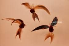 [고야미] 촐랑제비 고양이장난감 : 고야미 GOYAMI