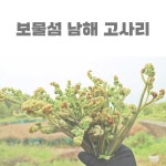 국산 건고사리 남해 보름나물 건 말린 추석 명절 부드러운 창선 말린고사리 500 200 100g : 태희상품점