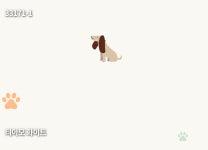 디아이디벽지 더원 장폭합지 티아모 화이트 33171-1 롤판매(5평) : CW-도매 인테리어