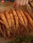 100% 순수 홍삼액 60포 : 사당 김가네 인삼농장