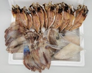 통영 반건조생선 참가자미 민어 대구 가오리 백조기 우럭 홍메기 성대 전갱이 부세조기 한치 오징어 제수용 선물세트 : 통영 청정수산