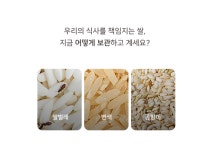 다용도 쌀보관통 쌀벌레방지 밀폐보관 날짜표시 인테리어 쌀통 10kg : 필수템샵