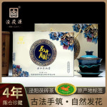 [18-3] 2020년 경복원 경양복차 화개월원 섬서성 금화흑전차 약450g by 백부복전차차창 : 운남상회 티다차이