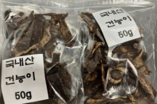 [2024년 국내산 자연산 강원도 강릉 송이버섯 능이버섯] 100% 국내산 자연산 강원도 강릉 건조 능이버섯 판매 : 강릉송이