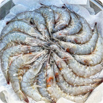 국산 흰다리 새우 1kg 제철 대하 신안 활새우 왕새우 : 에넨마켓