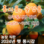 2024년 10%DC 곶감용감 대봉감 상주둥시감 생감 땡감 홍시 곶감만들기 15kg : 아그세농장