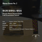 HOCUS FOCUS NO.2 파나마 마운트 토투마스 게이샤 콜드 퍼먼테이션 내추럴 40g : 호커스포커스로스터스
