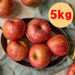 달디단 사과 부사 5kg 청송 안동 문경 거창 가정용 못난이 햇사과 꿀사과 : 정다믄큰집