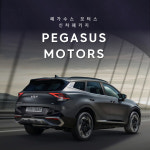 부산 스포티지 신차패키지 본넷 PPF 범퍼가니쉬 사상구 부산진구 : 페가수스모터스