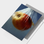 나의 유럽 모먼트 풍경 사진 인테리어 액자 포스터 A2 / 146 Pomme : 멜팅스튜디오