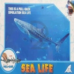 세계유통 해양풀백카 풀백장난감 장난감미니카 : 코드구구