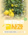 경북 안동 시나노골드 황금사과 가정용사과 3kg 5kg : 애플향농원