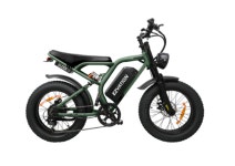 [완조립퀵] PAS전용 이지베이션 BS슬릭 전기자전거 850W 48V 20AH 10AH : 방배점 일렉트로휠전기자전거