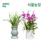 해운대구 좌동 화환 축하 개업 근조 신해운대역 당일배달 : 식물농장