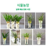 성동구 성수동 화환 축하 개업 근조 서울숲역 당일배달 : 화환농장