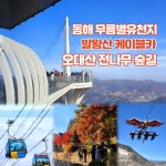 부산출발 삼성투어 동해 무릉별유천지, 발왕산케이블카, 오대산 1박2일 : 부산삼성투어