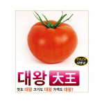 대왕 토마토 1000립 씨,씨앗,종자 아시아종묘 하우스재배에 적합한 무한생장형 완숙토마토 : 영미의정원