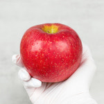 25년 햇 부사사과 빨간사과 첫수확 부사 사과 : 신선하랑