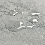 셀프인테리어 벽지 복고풍 오래된 산업 스타일  시멘트 회색 레스토랑 호텔 의류 매장 01 리얼 시멘트 패턴시멘트 그레이 H7108 : 제브몰