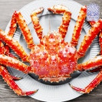 러시아 킹크랩 섹션 2kg 4kg 자숙 손질 냉동킹크랩 왕게 대용량 벌크 한정수량 특가 할인 : 천부씨푸드