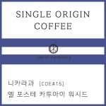 룩앳더바리스타 스페셜티 원두 니카라과 엘 포스테 카투아이 워시드 [COE 15] 100g : 룩앳더바리스타