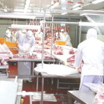 도축장직배송  암소한우1+등급 양지살 덩어리 500g : 사단법인남도미향