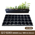 32구 트레이 5개 지피 펠렛 포트 모종 삽목 파종 모종판 재배트레이 한국원예자재 : 가든보라