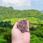 아리존 유기질 유박 비료 20kg 텃밭 거름 유기농 퇴비 미강 깻묵 계분 나무 조경 화분 : 전국자재