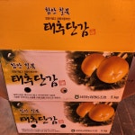 태추단감 : 알뜰청년단