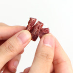 더독 오마이트릿 연어, 1kg, 1개 : 더독앤캣