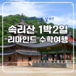 [보은충북]속리산으로 떠나는 리마인드 수학여행 : 대추골주민여행사