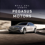 부산 G80 신차패키지 철분 낙진 제거 커브드 디스플레이 PPF 대저 동래구 : 페가수스모터스