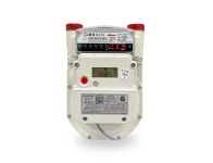 대성계전 듀얼누출점검용 가스계량기 (LPG&LNG) 유니온포함 : 청년종합상사