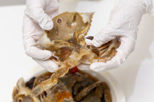 여수삼점게장 여수돌게장 낭만별식 간장게장 양념게장 : 여수낭만별식