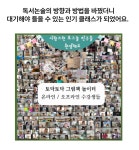 온라인 독서논술 실무 양성 교육과정 - 올인원 프로그램 4기 : 토그놀