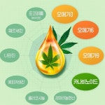 대마종자유 뇌건강 대마씨유 최질개선 캐나다산 : 9988상점