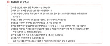 대성계전 듀얼누출점검용 가스계량기 (LPG&LNG) 유니온포함 : 청년종합상사