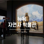 [타미스] 뉴욕 자연사 박물관 : 타미스