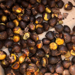 충주 햇밤 소태밤 농장 옥광 이평 석추 알밤 1kg : The화사