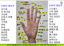 우리집 통증주치의 페인아웃 PAIN OUT 염증 완화 : 나봄코퍼레이션