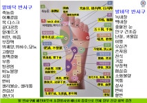 우리집 통증주치의 페인아웃 PAIN OUT 염증 완화 : 나봄코퍼레이션