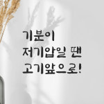 인테리어 붓글씨 혼체 레터링 스티커 기분이 저기압일 땐 고기앞으로 LJH-070S 검정 : 모노먼트