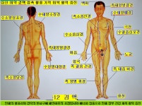 우리집 통증주치의 페인아웃 PAIN OUT 염증 완화 : 나봄코퍼레이션